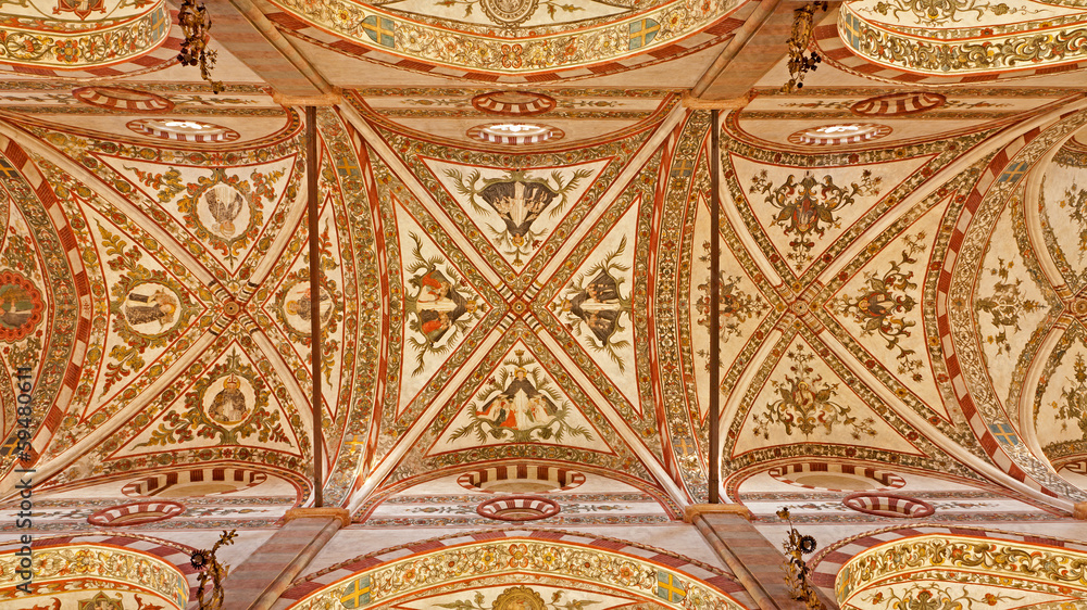 Verona - Ceiling of church Santa Anastasia