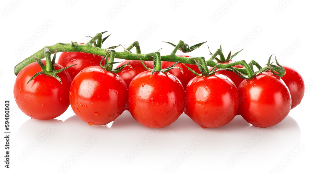 Branch of tomatoes Branch of tomatoes