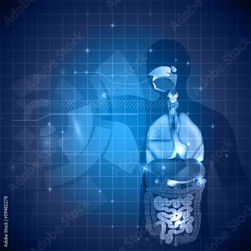 Human anatomy background, various internal organs