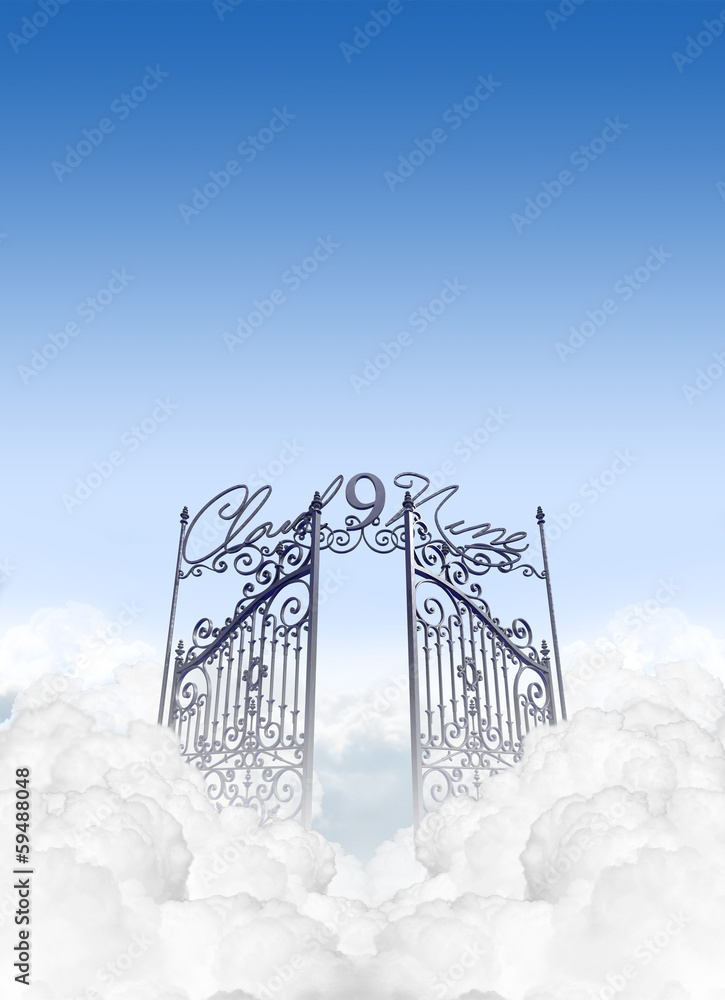 Fototapeta premium Cloud Nine