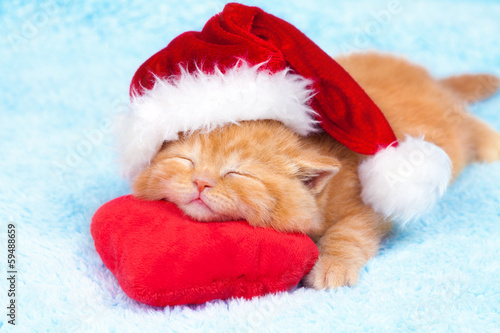 Litlte kitten wearing Santa's hat slipping on the pillow photo