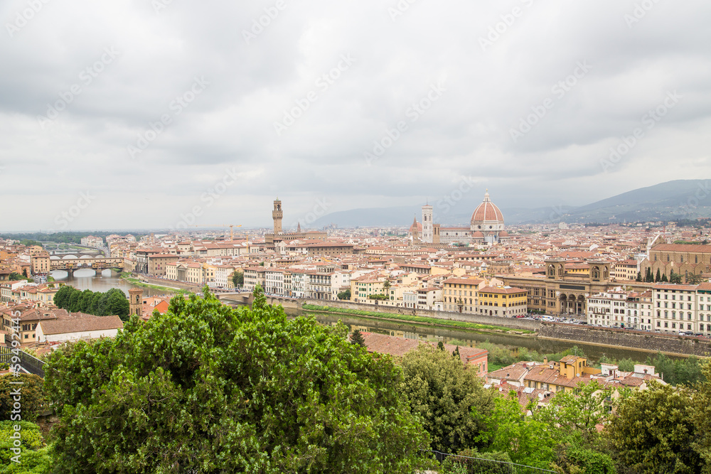 View of Florence Beyond Trees