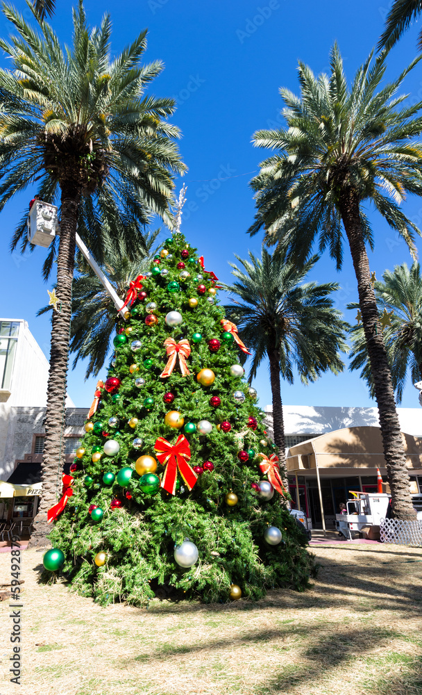 christmas tree in Miami