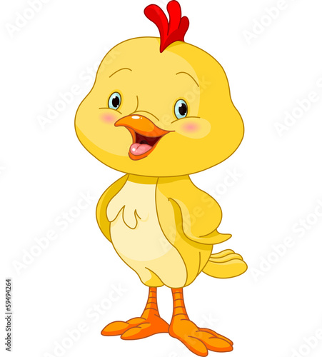 Cute Little Chick