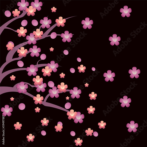 Plum Blossom background © margolana
