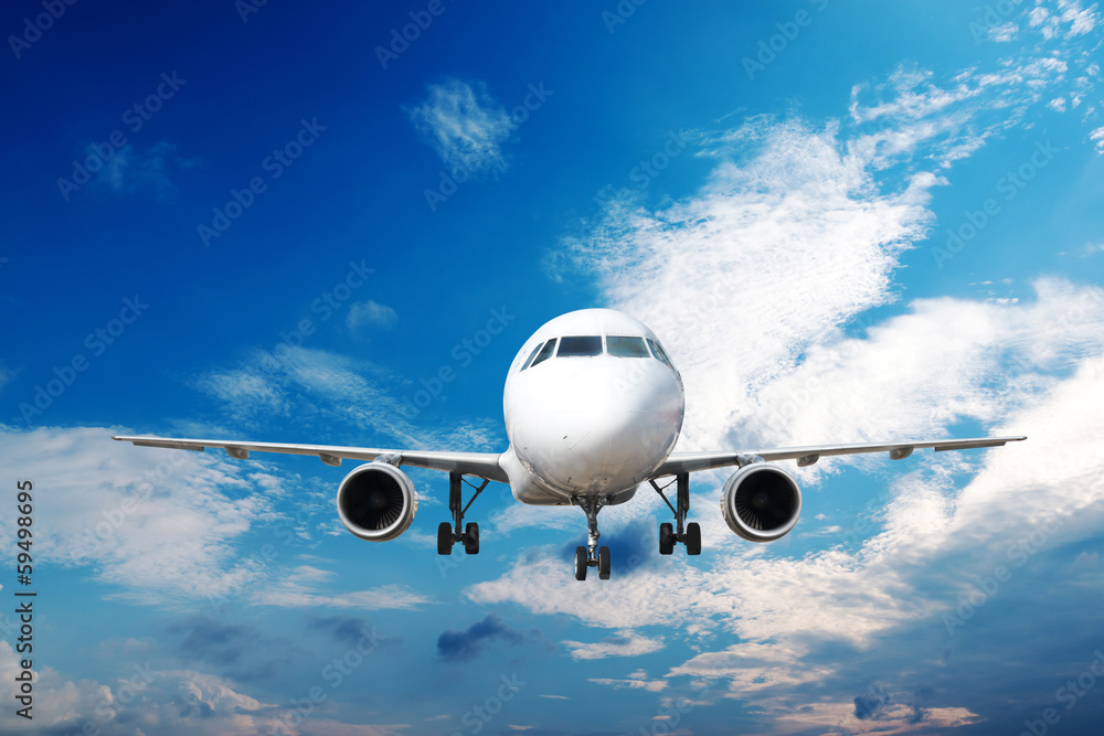 Fototapeta premium Large passenger plane