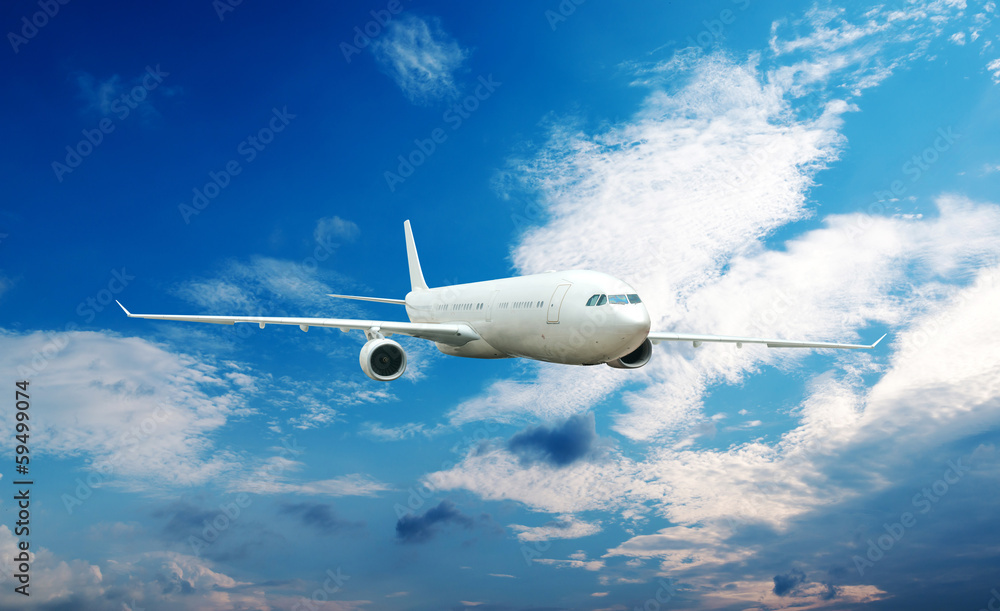 Fototapeta premium Large passenger plane