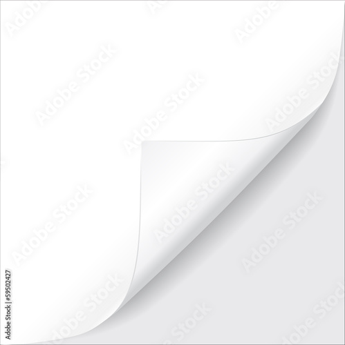 Sheet of paper. Vector illustration