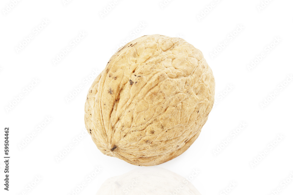 walnut walnut