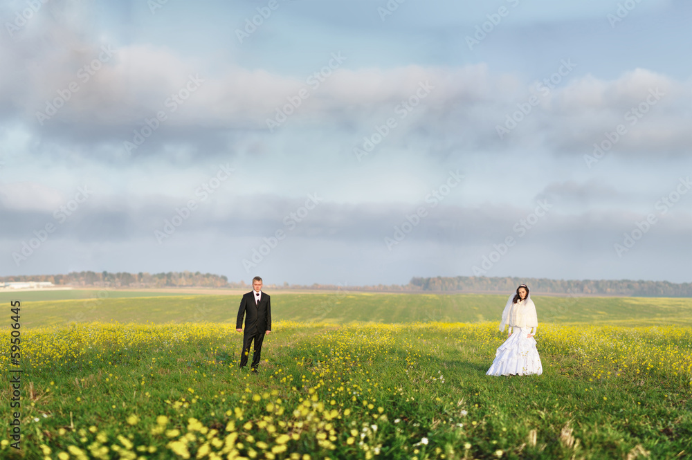 Fototapeta premium Bride and groom on the field