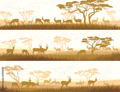 Horizontal banners of wild animals in African savanna.