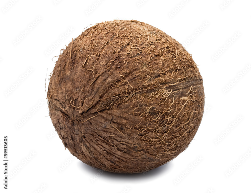 Coconut Coconut