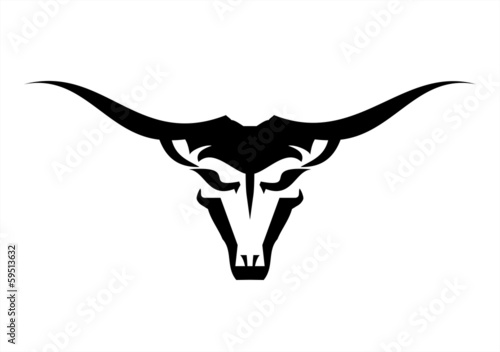 Wild Bull