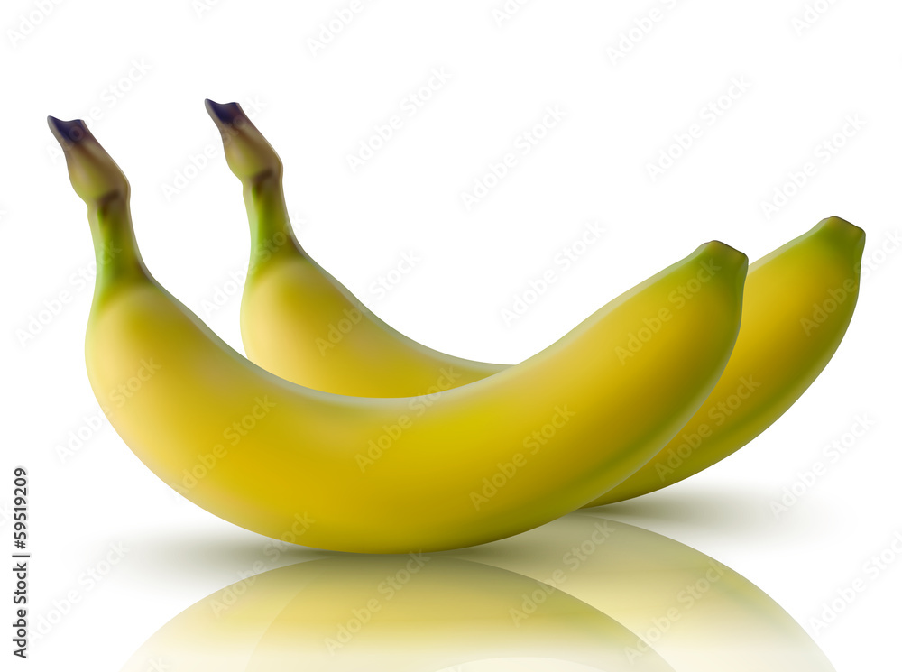 vector illustration of bananas with reflection vector illustration of bananas with reflection
