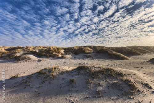 Dunes at the Danish North Sea coast