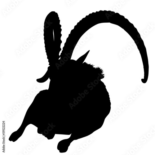 Steinbock