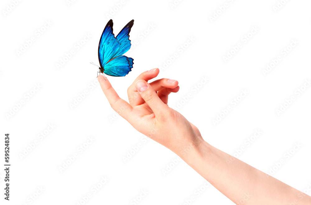 Fototapeta premium motyl na kobiecej dłoni. W ruchu