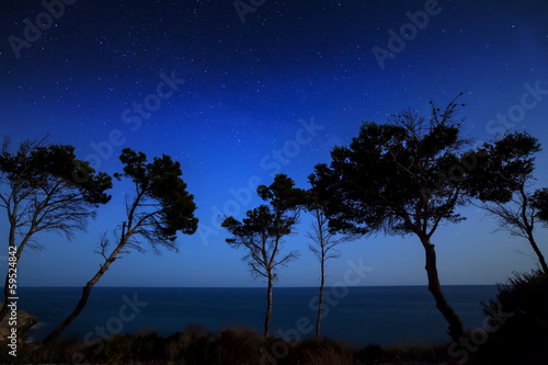 Sky with stars in night, landscape