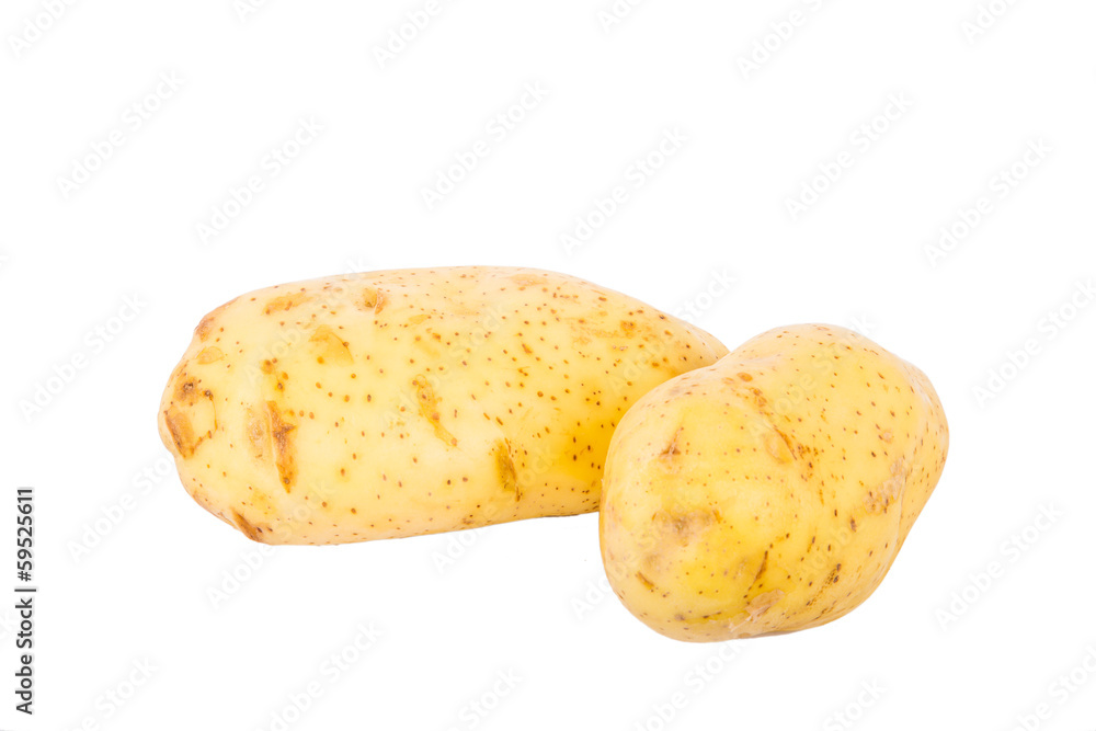 Two Yukon Gold Potatoes Isolated on White Two Yukon Gold Potatoes Isolated on White