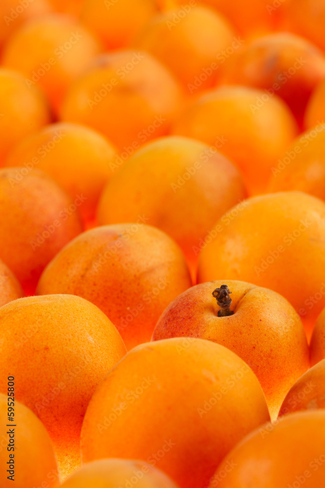 apricots background, full frame, shallow DOF