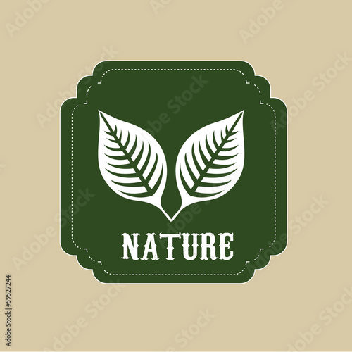 eco design