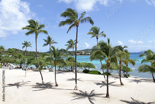 Tropical Beach, Caribbean photo