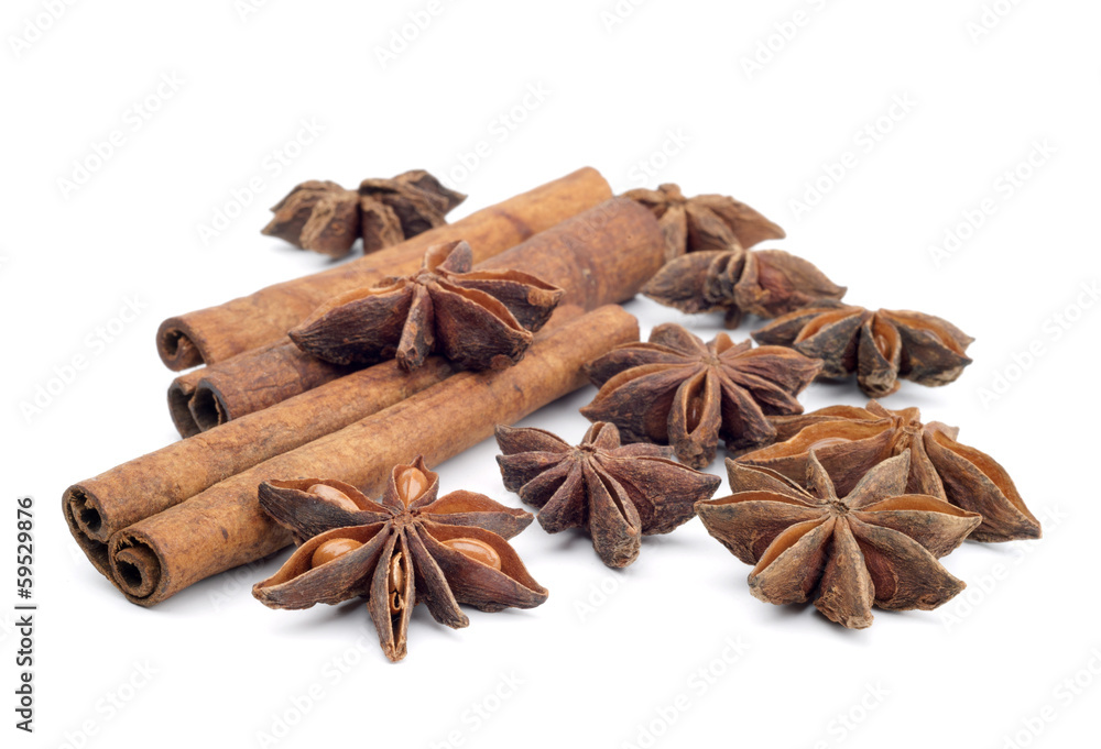 anise and cinamon isolated on white background anise and cinamon isolated on white background