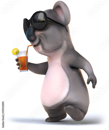 Photography Koala