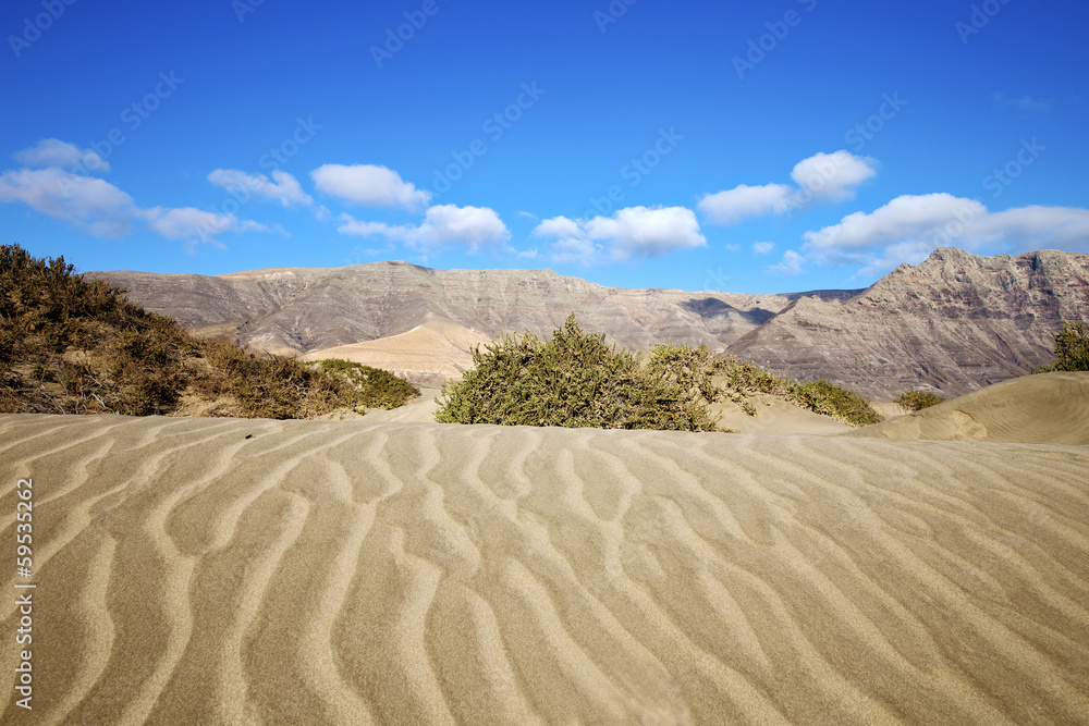 abstract yellow dune beach  hil and mountain in    lanzarote