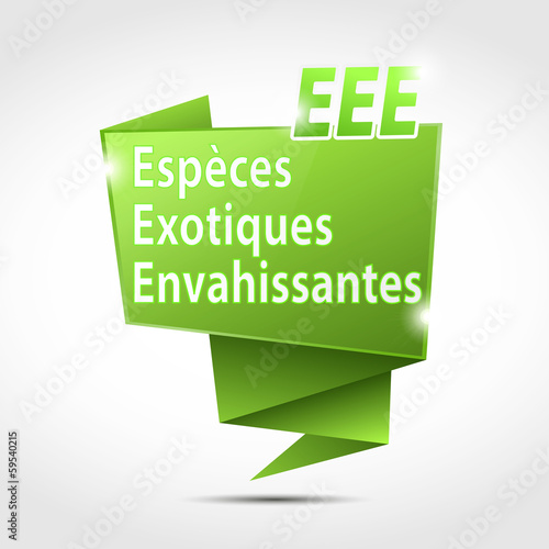 bulle origami acronyme : eee cs5