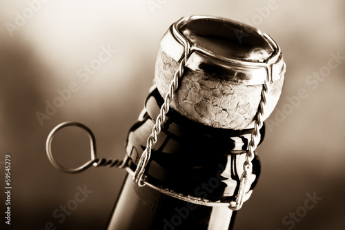 Sparkling wine cork Wine tasting concept