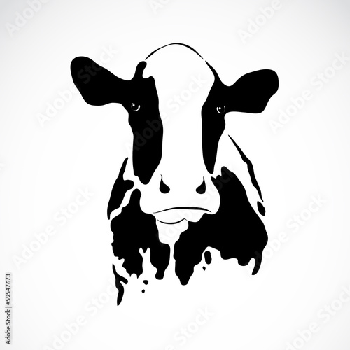 Vector of an cow on white background. Animals.