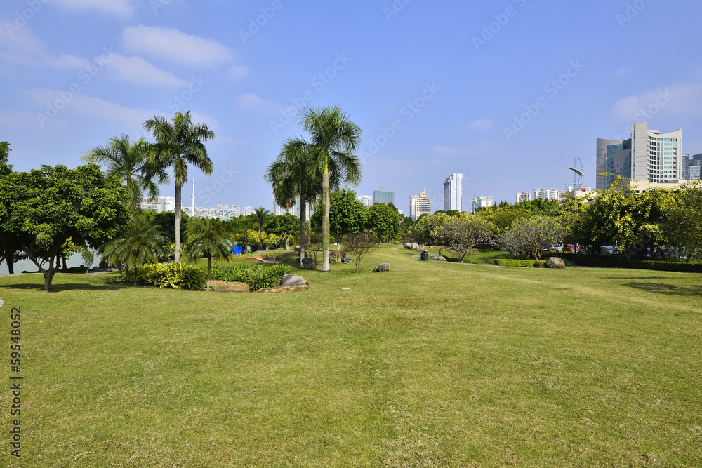 Naklejka premium Park scenery