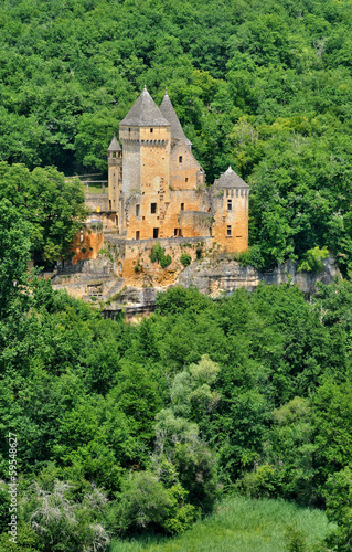 France, picturesque castle of Laussel in Dordogne photo