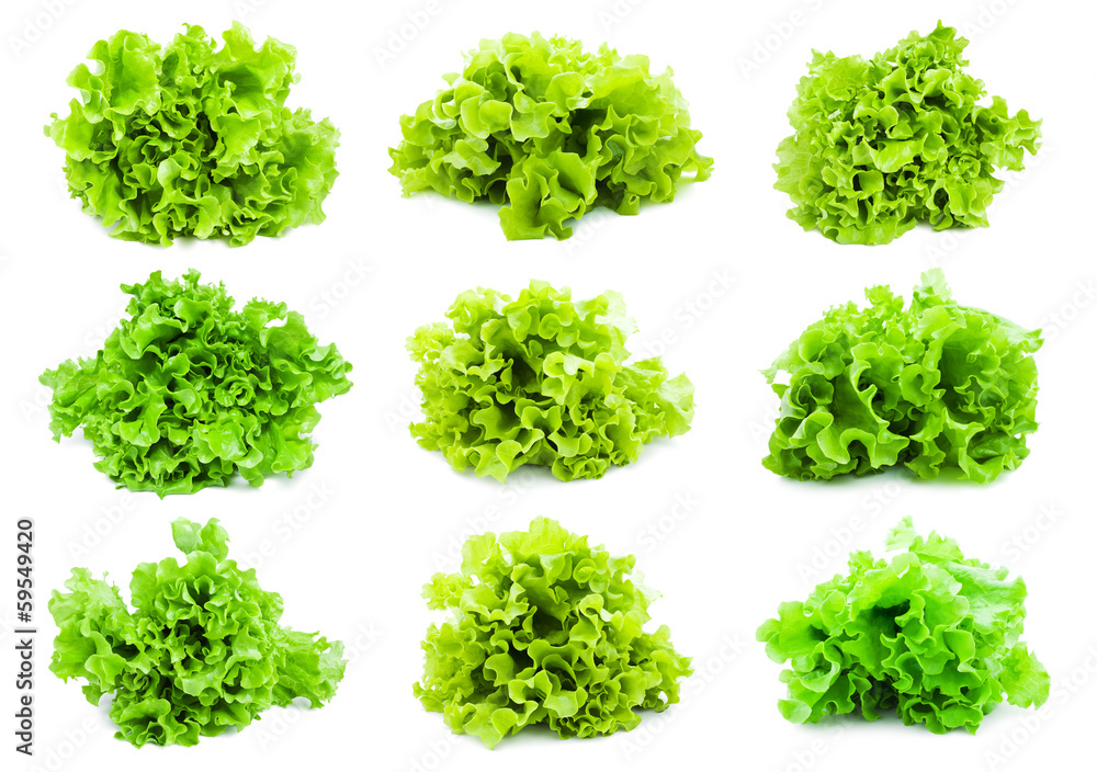 Lettuce Lettuce