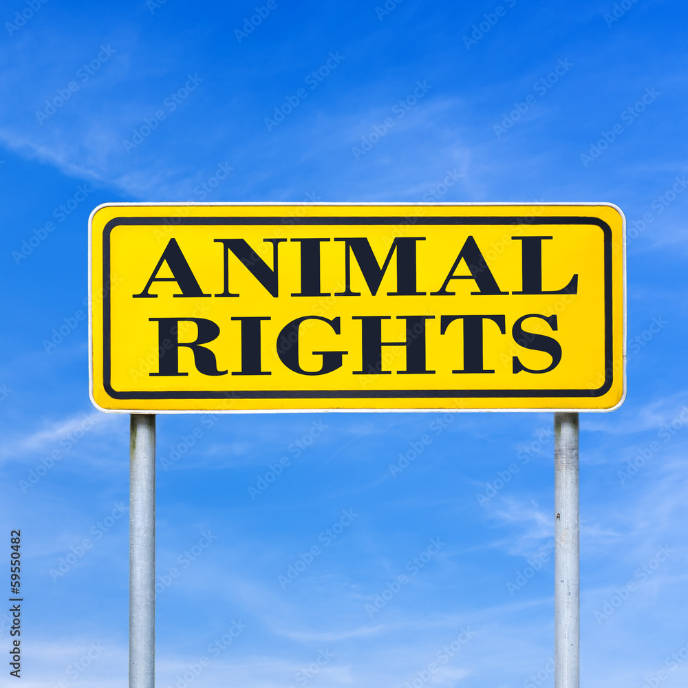 Animal rights