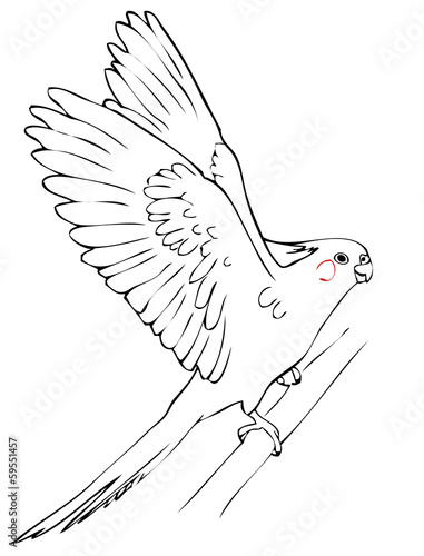 flying parrot