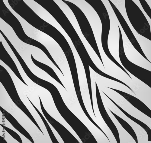 Zebra pattern vector background