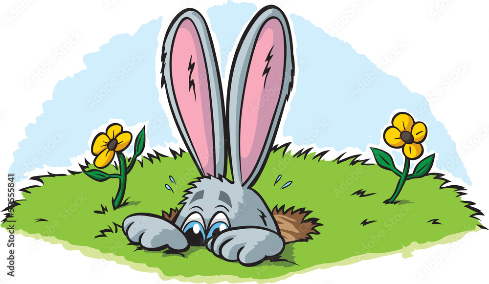 Fototapeta premium Hiding Rabbit
