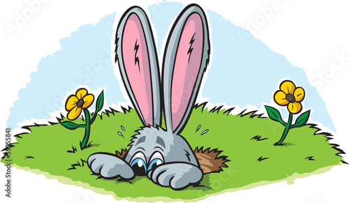 Hiding Rabbit