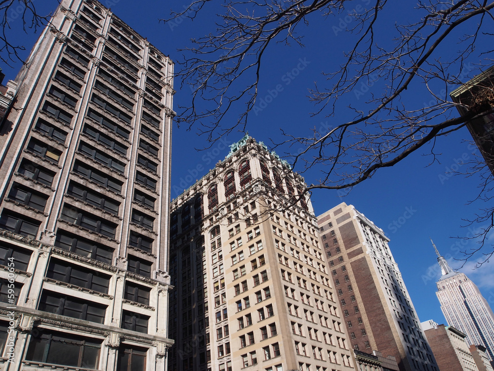Fototapeta premium Fifth Avenue, New York