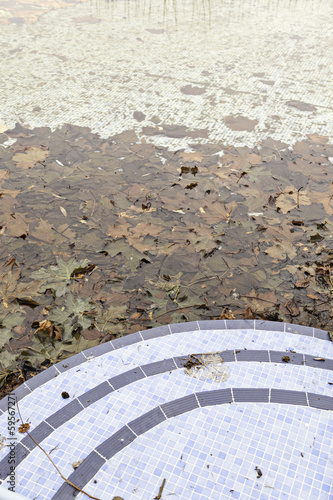 Dirty pool summer with autumn leaves