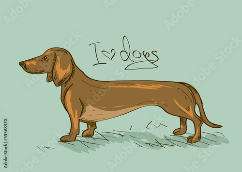 Illustration with Dachshund dog