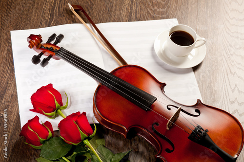 Red roses and a violin