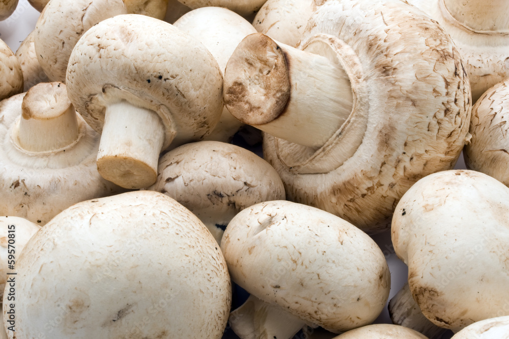 Champignon mushrooms