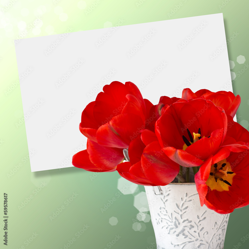 Fototapeta premium Postcard with elegant flowers tulips