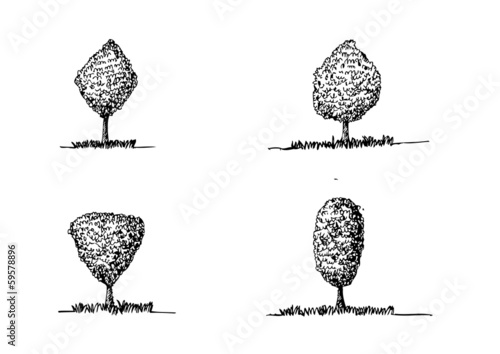 Set of Vector trees with leaves