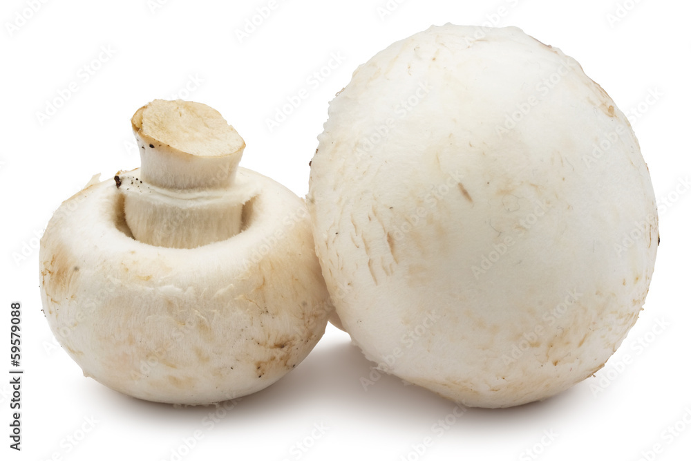 Champignon mushrooms Champignon mushrooms