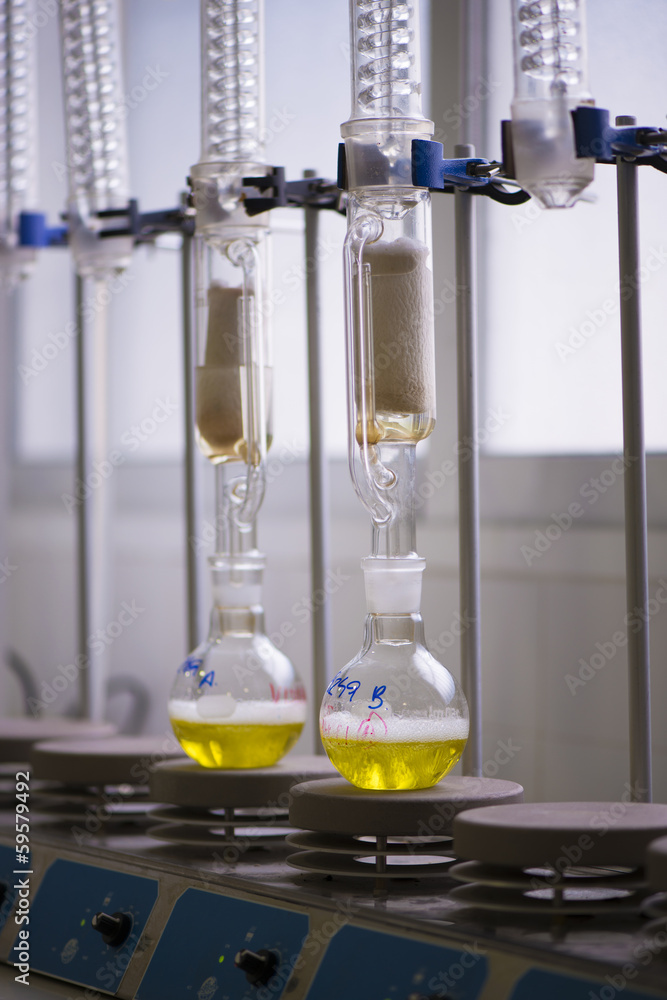 Fototapeta premium Test tubes in a laboratory