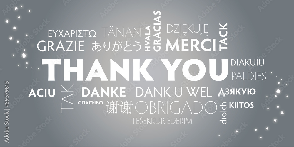 Fototapeta premium Thank You multilingual, silver